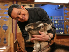 Кулінарна Династія