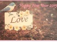 Любви в Новом году 2015