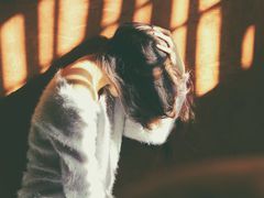 Спілкування