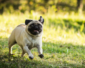 Куда пойти в выходные в Киеве: 9 - 10 апреля