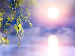 Что можно и нельзя делать в день Кириллов день, кто отмечает День ангела 31 марта