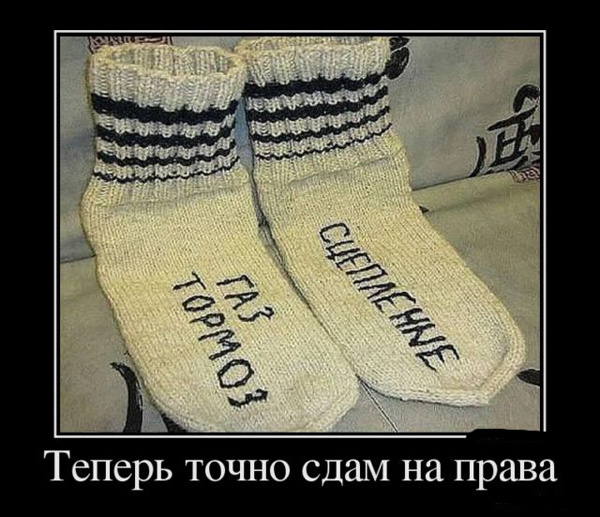 ТОП лучших демотиваторов