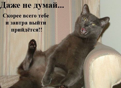 Комикс про пятницу