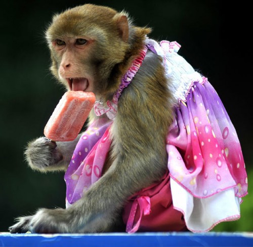 Ахаха милахи