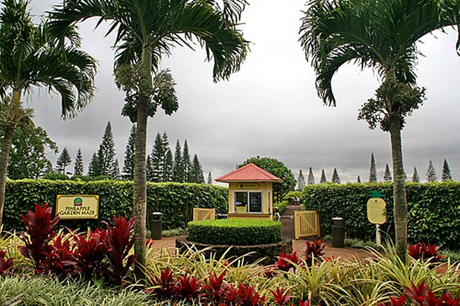 Найбільш заплутані лабіринти: Pineapple Garden Maze, Оаху, Гаваї