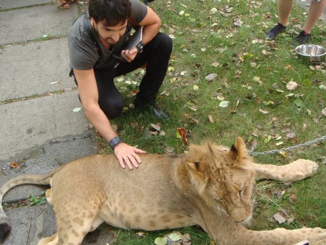 Виталий Козловский