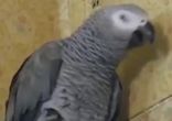 ДЕНЬ 10 ЛУЧШИЕ ПРИКОЛЫ