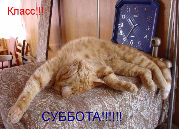 Няшки и суббота