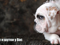 Прикольные открытки на 1 апреля