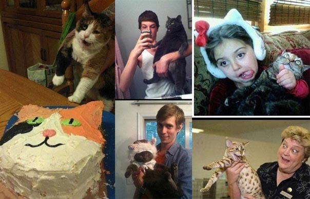 Пушистики в диком восторге