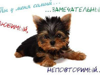 Самому лучшему парню