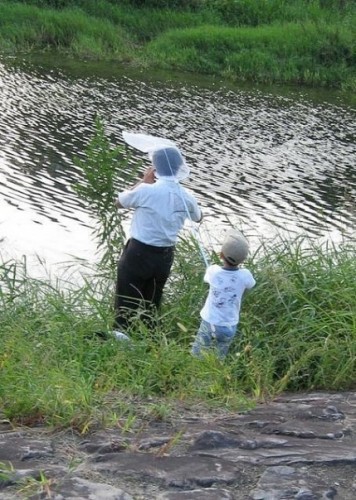 Жизнь - веселая штука