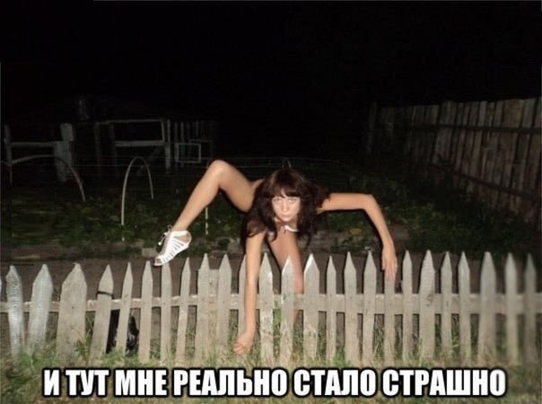 Самка паука-великана