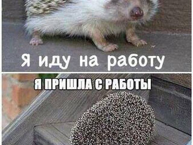 как я пришла на работу проститутки как я пришла на работу проститутки