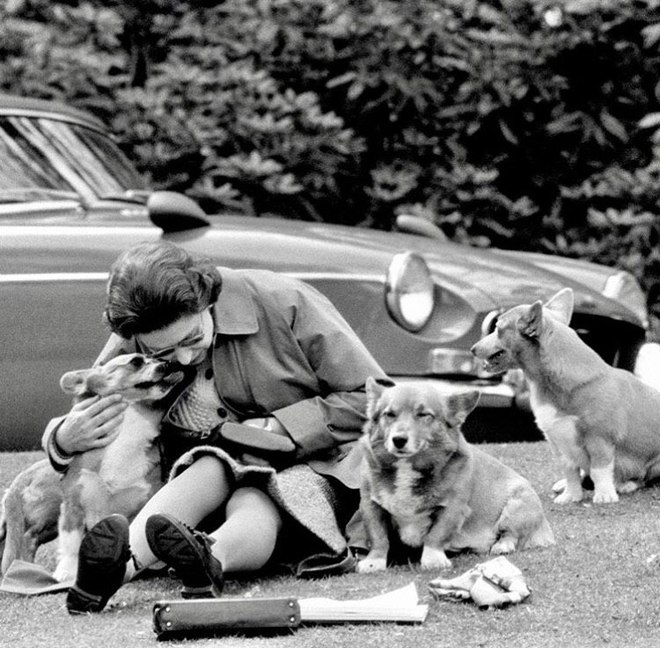 15 архивных фото Елизаветы II, которые ты редко где увидишь