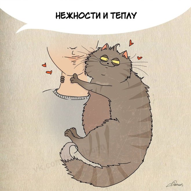 Нам есть чему поучиться у котиков