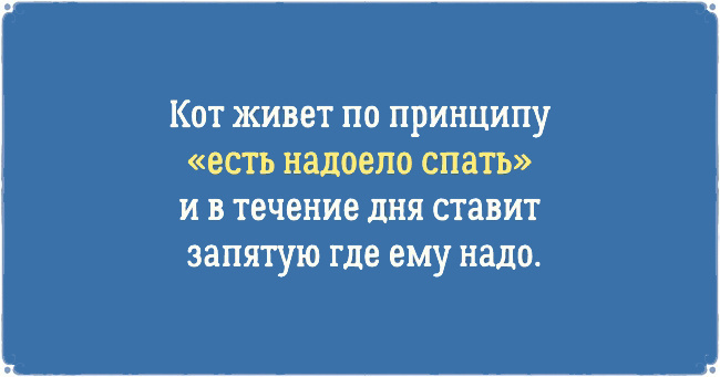 ТОП 10 приколов про котов