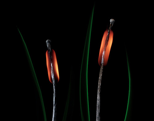 Шедевры со спичкой, огнём и дымом от Станислава Аристова