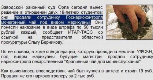 Прикольные надписи и реклама