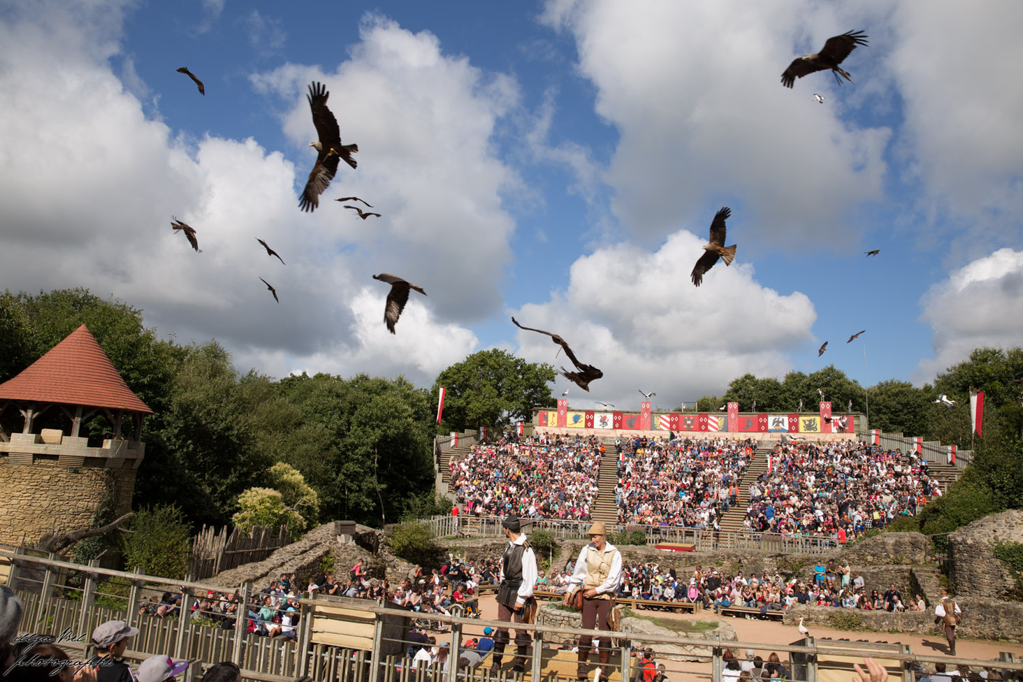 Бал птиц Фантомов (Le Bal des Oiseaux Fantômes)