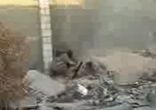 Давыпендривался