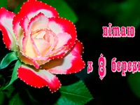 Вітаю с 8 березня