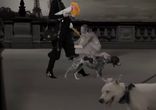 Ralph Lauren Presents The Dog Walk