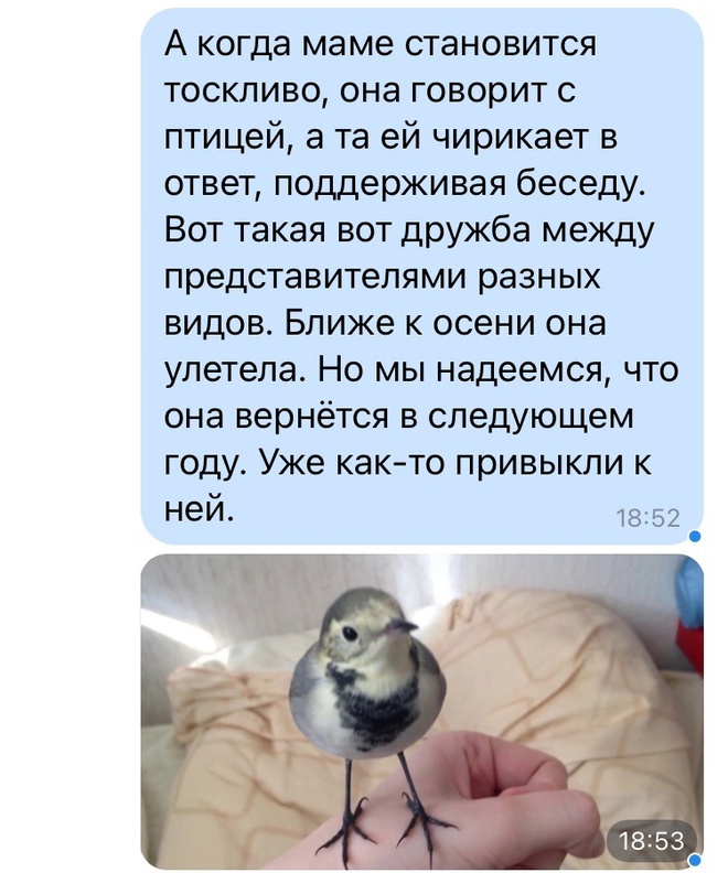 Мы будем ждать тебя