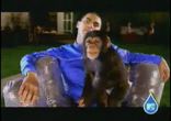 Alien Ant Farm - Smooth Criminal