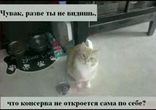 думаете у вас был удачный день