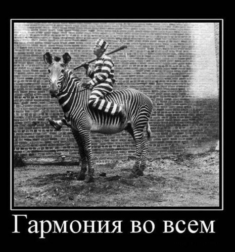 Юморные демотиваторы