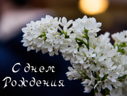 Весеннего дня рождения