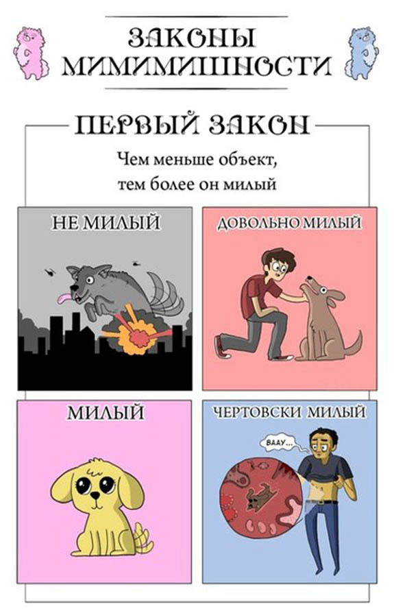 6 законов мимимишности