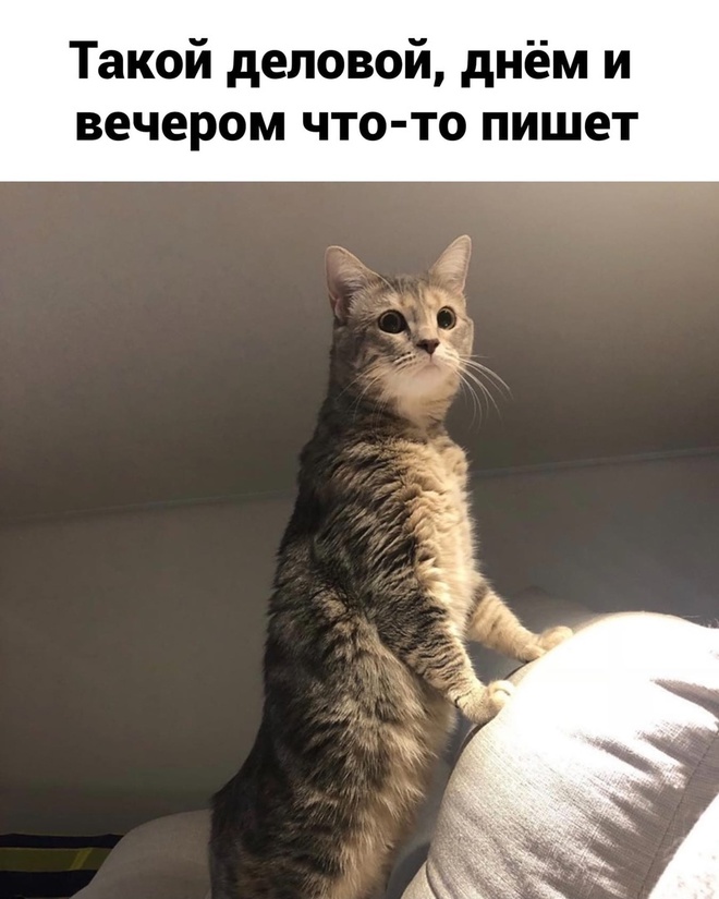 Письмо Дед Морозу