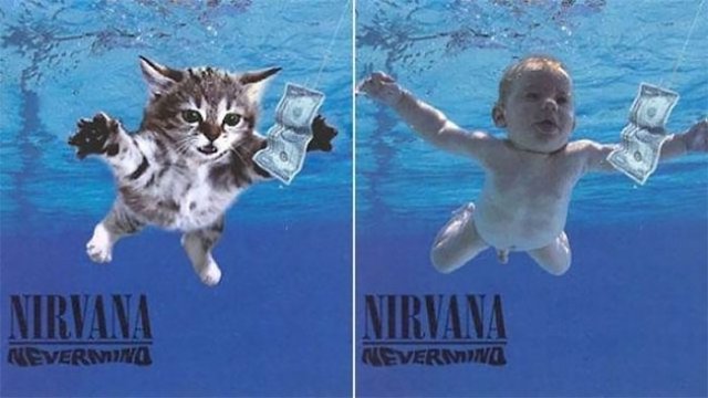 Как бы выглядели обложки известных альбомов с котиками от Alfra Martini 