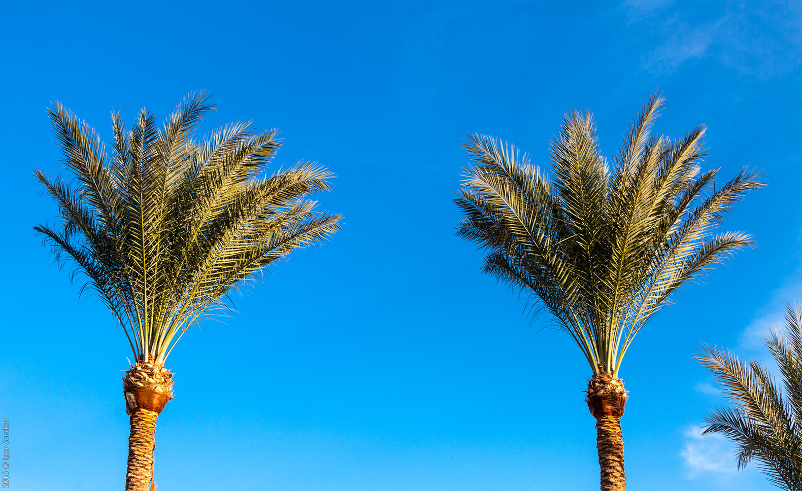 Єгипет, готель Jaz Makadina