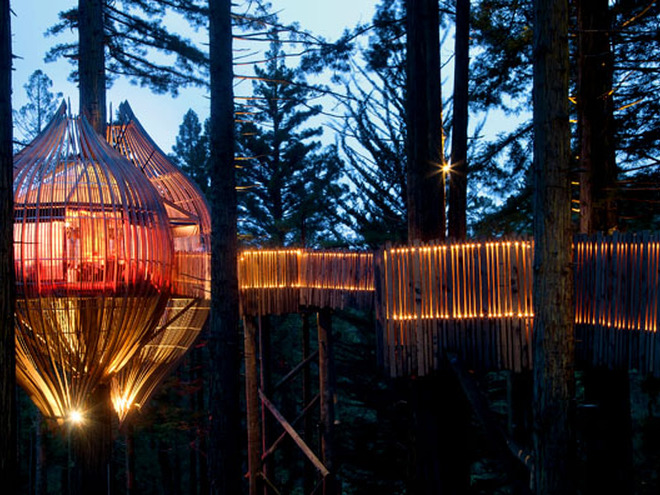 10 самых оригинальных ресторанов мира: Redwoods Treehouse. Окленд, Новая Зеландия