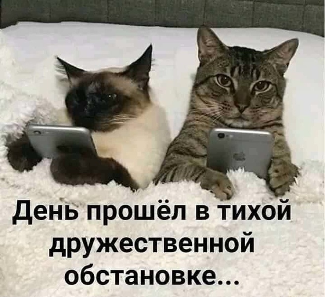 Тихая обстановка