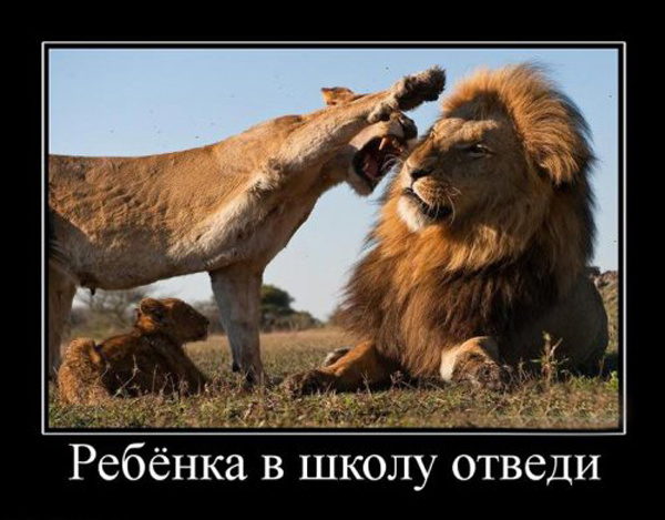 ТОП лучших демотиваторов про 1 сентября