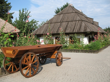 Карпати село