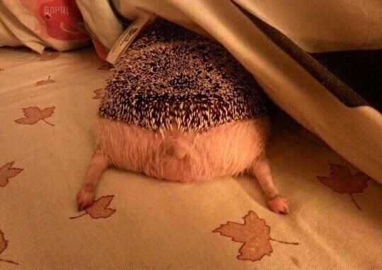 Мамочки, как страшно!!