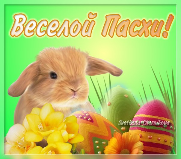 Прикольні листівки на Великдень
