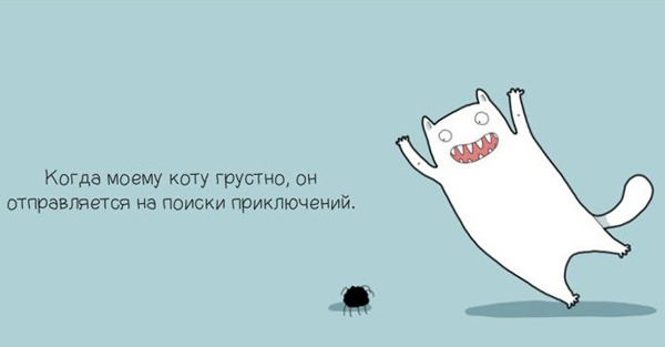 Когда моему коту грустно