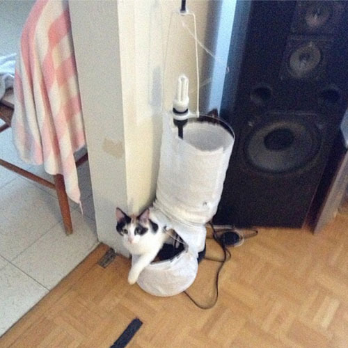 Маленькие шкодники развлекаются