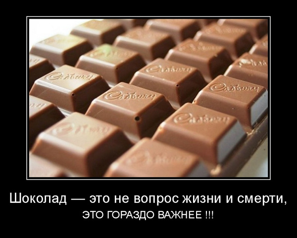 ТОП лучших демотиваторов про шоколад