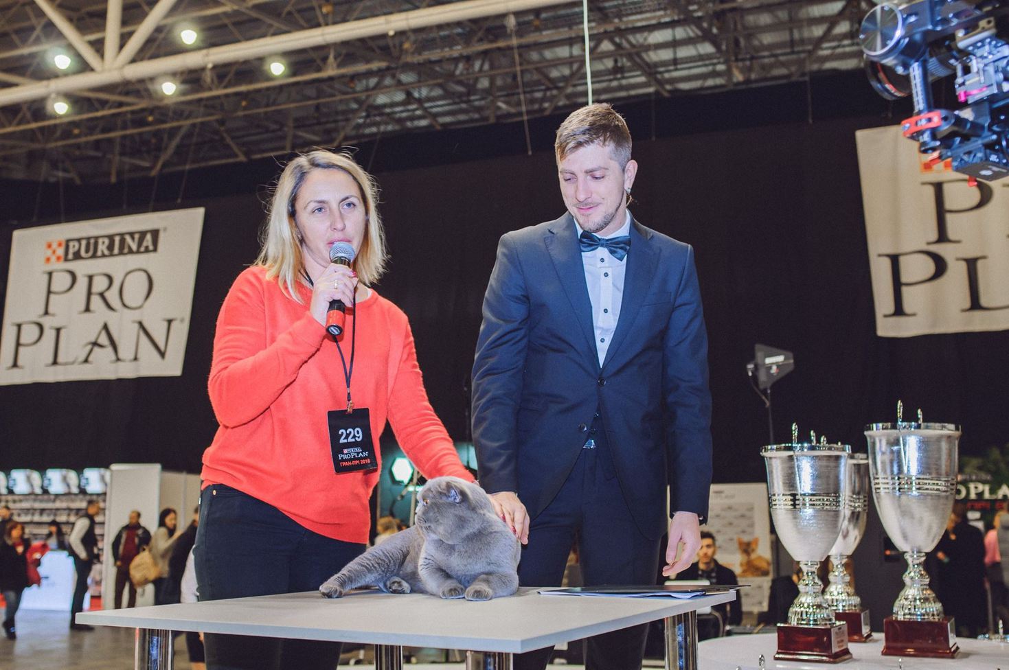 Міжнародна виставка котів Pro Plan® Гран Прі 2018