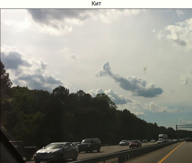 Показалось