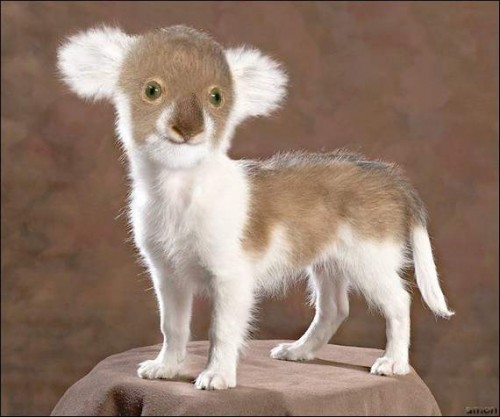 Последствия Чернобыля