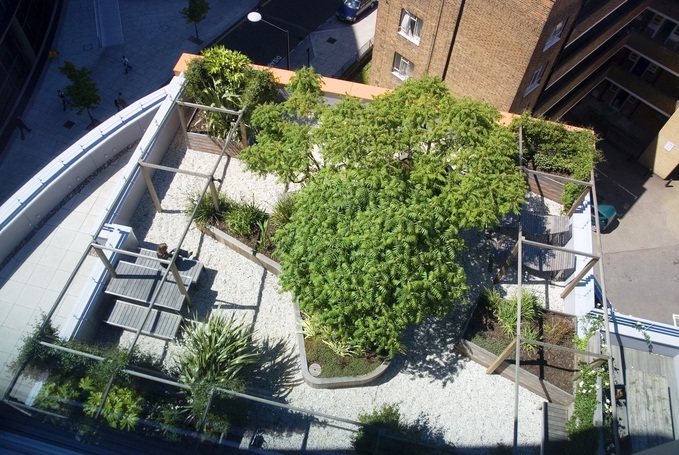 сады на крышах Лондона