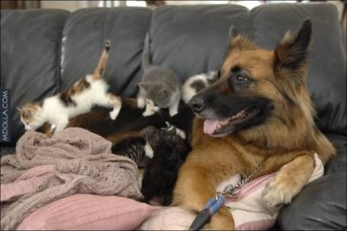 Мы такие разные